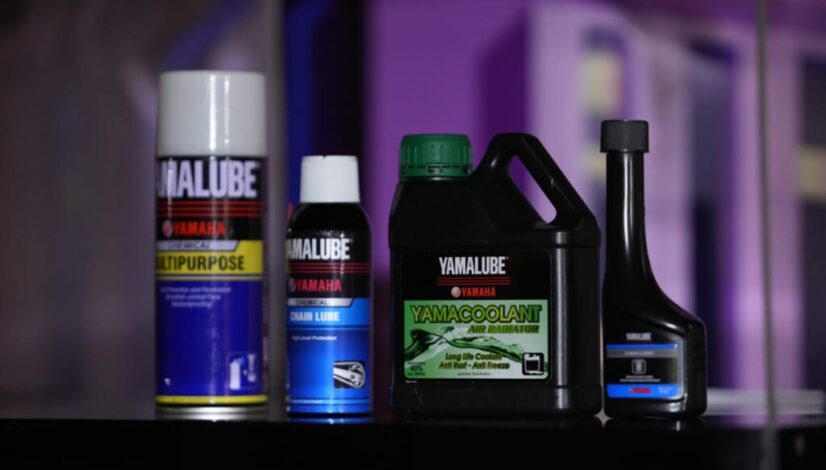 IMG-20250325-WA0036 IMG-20250325-WA0036